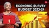 Indian Economy Poised to do Better, Inflation to be Well-Behaved Next Fiscal: CEA