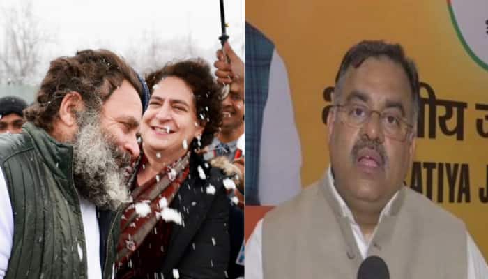 &#039;Priyanka and Rahul Gandhi Could Enjoy Snowfall in Kashmir Because of PM Modi&#039;: BJP&#039;s Tarun Chugh 
