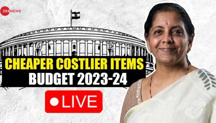 Union Budget 2023: Check Full List of Products Turning Costlier and Cheaper After Nirmala Sitharaman's Announcement
