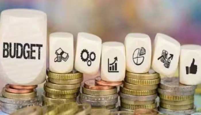 Budget 2023-24: Know How Much you Have to Pay From now - Check the full list of Cheaper &amp; Costlier Items 