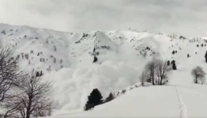 J&amp;K: 2 Polish Tourists Dead After Massive Avalanche Hits Afarwat Peak in Gulmarg