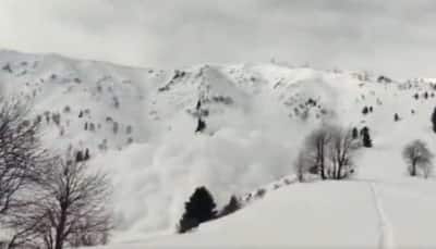 J&K: 2 Polish Tourists Dead After Massive Avalanche Hits Afarwat Peak in Gulmarg