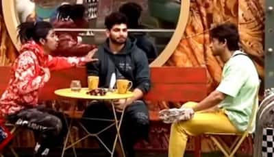 Bigg Boss 16: MC Stan in Tears After Shalin Bhanot says Shiv Thakare Deserves to win More