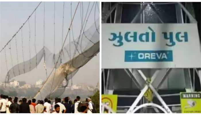 Morbi Bridge Collapse: 7 Accused Seek Bail, Claim Their Roles Were Small
