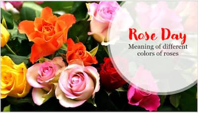 Happy Rose Day 2023: Significance of different colors of roses