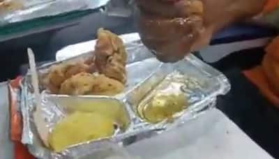 Vande Bharat Express Passenger Complains of Bad Quality Food, Leaves Internet Divided: WATCH Video
