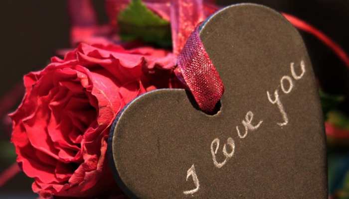 Happy Rose Day 2023: Wishes, WhatsApp Messages, Greetings, and ...