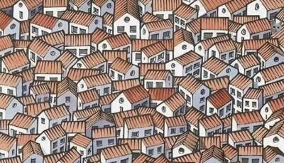 Optical Illusion: Can you Spot the cat in This Viral Photo in 10 Seconds? 