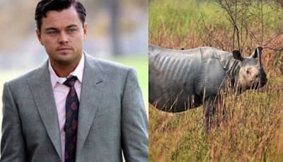 Leonardo DiCaprio Lauds Assam Government’s Efforts to end Rhino Poaching in the State 