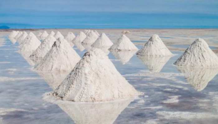 Big Discovery: Lithium, a Key Component in Electric Vehicles, Found in India for First Time 