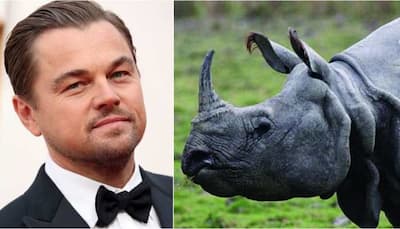 'No Rhinos Were Poached in Kaziranga National Park': Leonardo DiCaprio Praises Assam Govt's Efforts to Combat Poaching