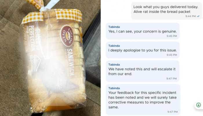 Blinkit Customer&#039;s Post on Finding a Living Rat Inside Bread Packet Goes Viral 