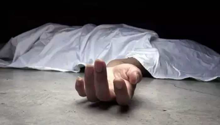 Delhi Woman's Body Found In Dhaba Owner's Freezer; Accused Arrested