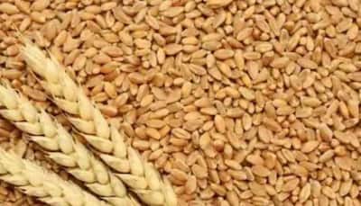 Wheat Production Estimated to Touch New Record of 112.18 Million Tonnes in 2022-23 Crop Year: Govt