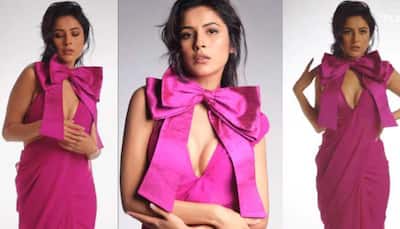 Shehnaaz Gill Wears a Hot Pink Saree With Plunging Neckline Bow Blouse in new Photoshoot - Watch