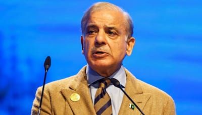 Pakistan PM Shehbaz Sharif Leaves for Earthquake-hit Turkey, Days After 'Insult'