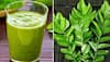 Curry Leaves for Diabetes: Here is How Curry Leaf Juice (Kadi Patta) Helps to Manage Blood Sugar Levels