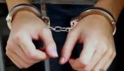 'Bragged About Crimes on Social Media': Delhi Police Crackdown on Gang of Budding Criminals