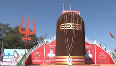 Maha Shivratri 2023: Gujarat Celebrates Shivratri with 31-Feet Tall Rudraksha Shivling - Watch