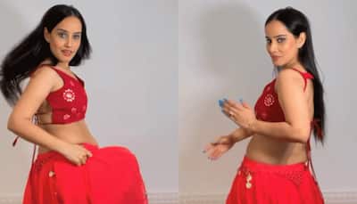 Viral Video: Girl's Sizzling Belly Dance on Oo Antava Song Leaves Internet Stunned