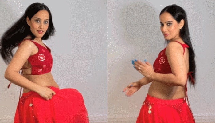Viral Video: Girl's Sizzling Belly Dance on Oo Antava Song Leaves Internet Stunned