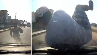 Scam Alert: Man Jumps in Front of Car on Highway, Caught on Camera; Here's How to Avoid?