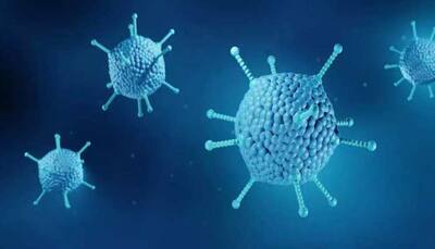 What is Adenovirus? 2 Die of Suspected Infection in West Bengal: Check Symptoms, Causes, Precautions and Treatment 