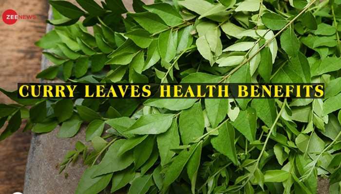 Health Benefits of Curry Leaves: 5 Reasons You Should Add &#039;Kadi Patta&#039; to Your Diet