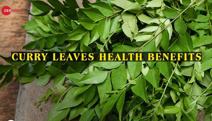 Health Benefits of Curry Leaves: 5 Reasons You Should Add 'Kadi Patta' to Your Diet