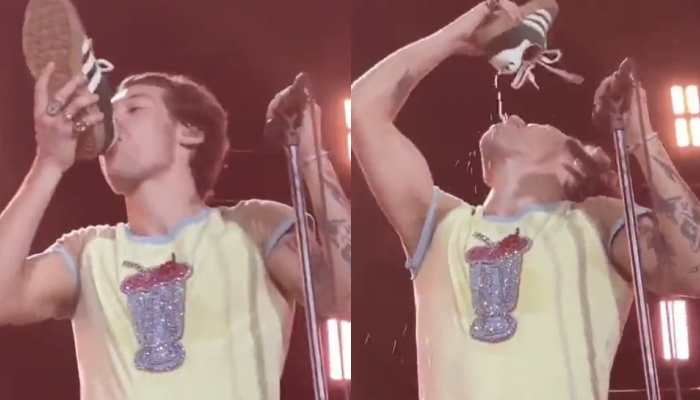 Bizzare! Harry Styles Drinks out of Shoe During Australia Concert- Watch