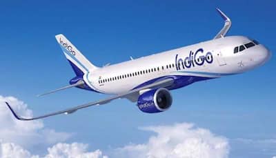 IndiGo Remains Biggest Airline in Domestic Aviation Sector in January 2023, Air India Follows
