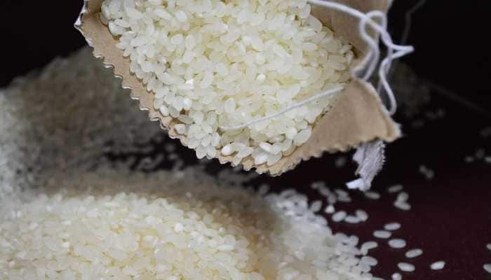 Karnataka Assembly Elections 2023: Congress Announces 10 kg Free Rice Per Head in BPL family Ahead Of Polls