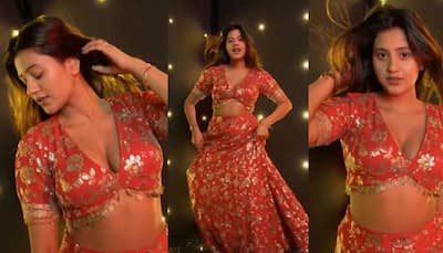Kacha Badam Girl Anjali Arora's Hot Dance in Red Lehenga Choli, Video Goes Viral - Watch