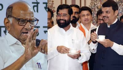 Maha Budget Session: Good That Those Having Links With Dawood Didn't Come, Says Shinde After NCP Skips High Tea