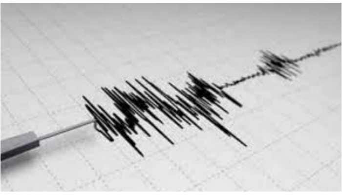 Earthquake in Gujarat: Tremor Of 3.3 Magnitude Recorded In Amreli, Fifth Time Within A Week