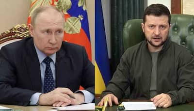 'Vladimir Putin Will Be Killed By...': Ukraine President Volodymyr Zelensky Makes Tall Claim