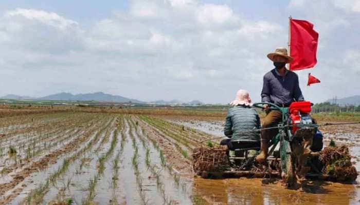 From Missiles, North Korea Turns To Agriculture Amid Reports Of Food Shortages