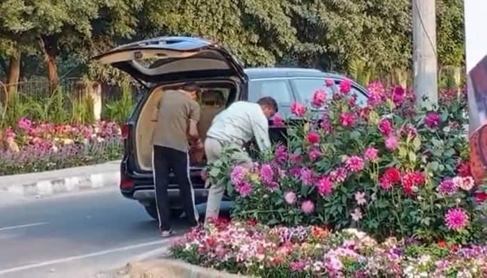 Men Riding Luxury Car Allegedly Steal Flower Pots Set Up For G20 Event in Gurugram - Watch