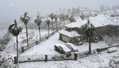 Winter Storm Pounds US, California Blanketed By Snow - Watch Videos 