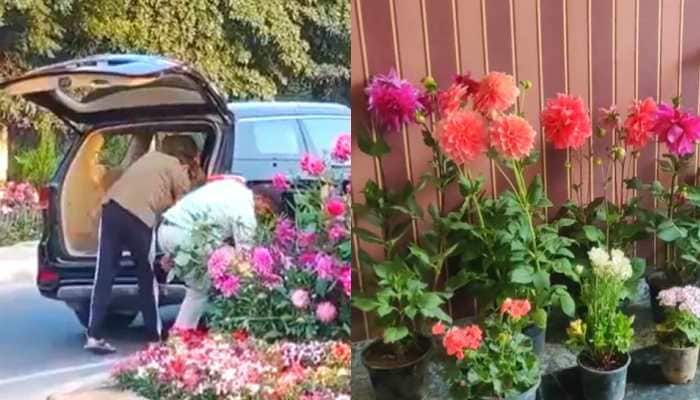 Gurugram Man Arrested For &#039;Stealing&#039; Flower Pots Set Up For G20 Summit Event