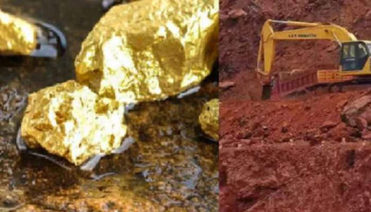 Odisha Hits Jackpot As Huge Gold Mines Found In Three Districts | Economy  News | Zee News