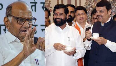 Pune Bypoll Result: Eknath Shinde Hits Back At Sharad Pawar, Says 'He Is Ignoring...'
