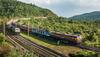 Holi 2023: Indian Railways Operating 196 Special Trains To Deal With Festive Rush
