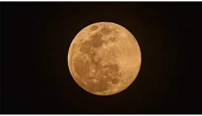 Worm Moon Day 2023: Know It’s Meaning And Best Time To Manifest Your Dreams