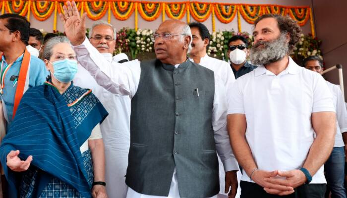 'Do You Support Rahul's Irresponsible Remarks?': BJP Asks Sonia, Kharge