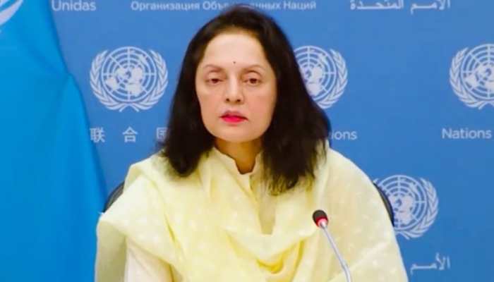 At UN, India Warns Against &#039;Categorisation Of Terrorism Based On Motivations&#039;