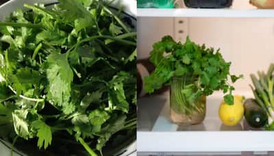 Kitchen Hacks: How To Store Coriander And Mint Leaves? Tips To Keep Dhania-Pudina Fresh For Long