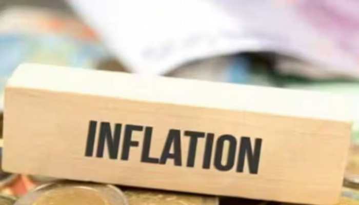 Inflation Expected To Come Down Over The Year: RBI MPC Member Ashima Goyal