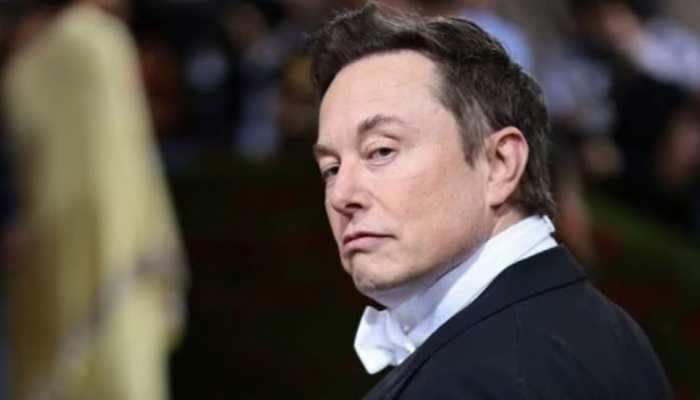 Elon Musk Responds After Donald Trump&#039;s adviser Alleged Tesla CEO To be &#039;Owned&#039; by China