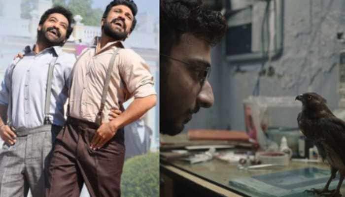RRR To All That Breathes: List Of Nominations Received By India At Oscars 2023